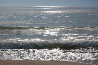 Прикрепленное изображение: DSC_0095.JPG